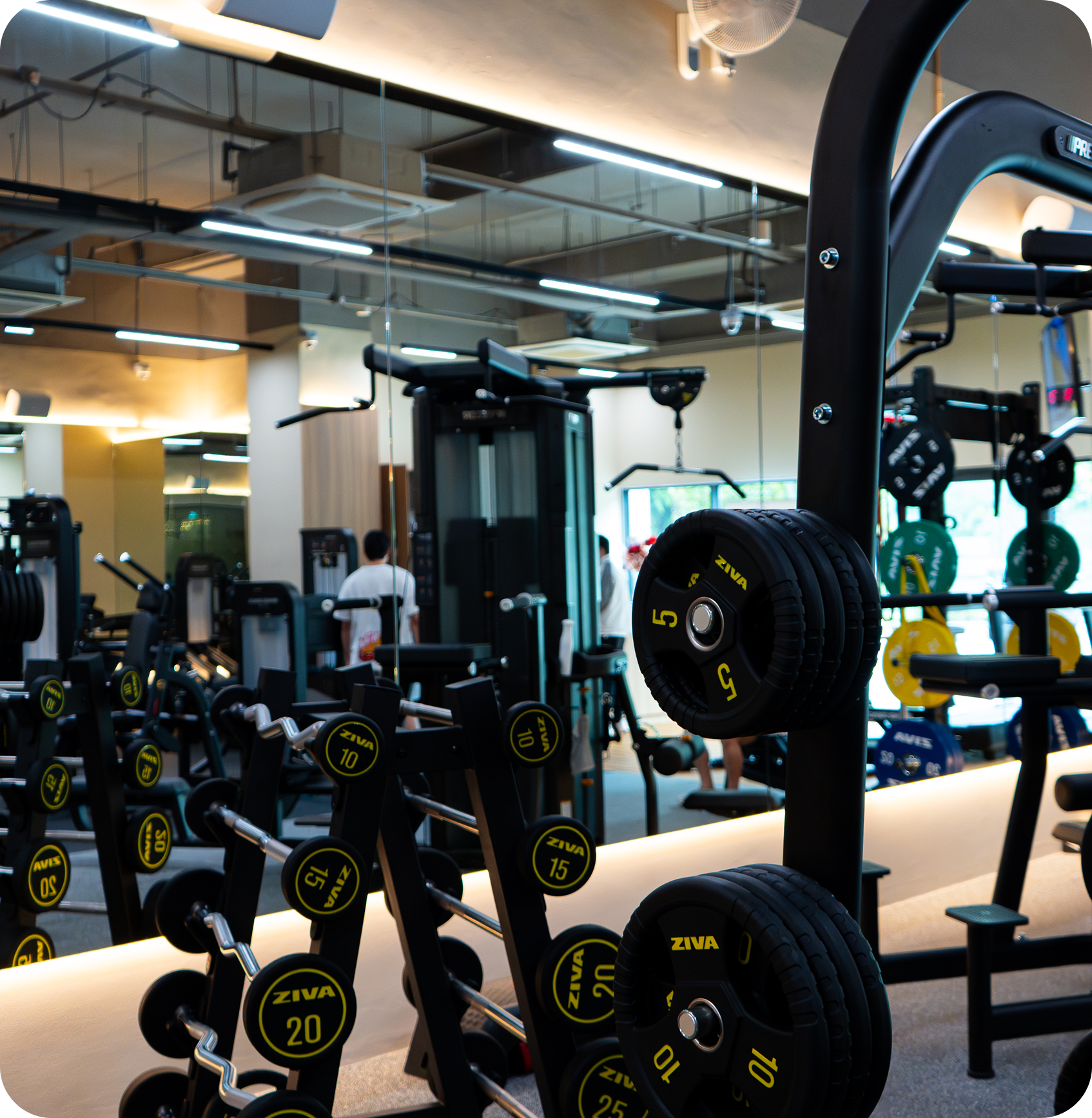Gym