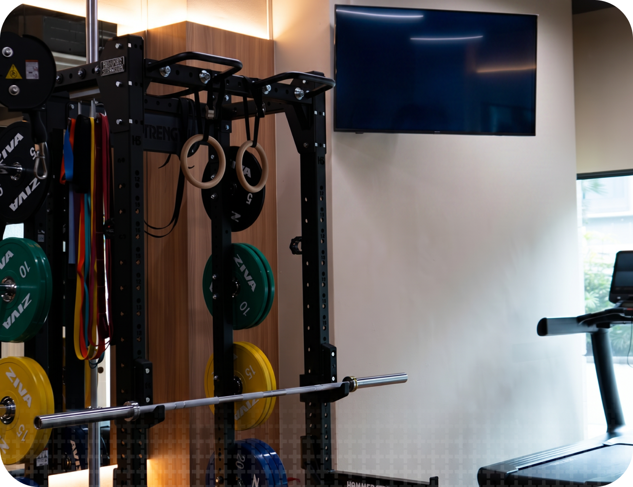 Open Gym Access